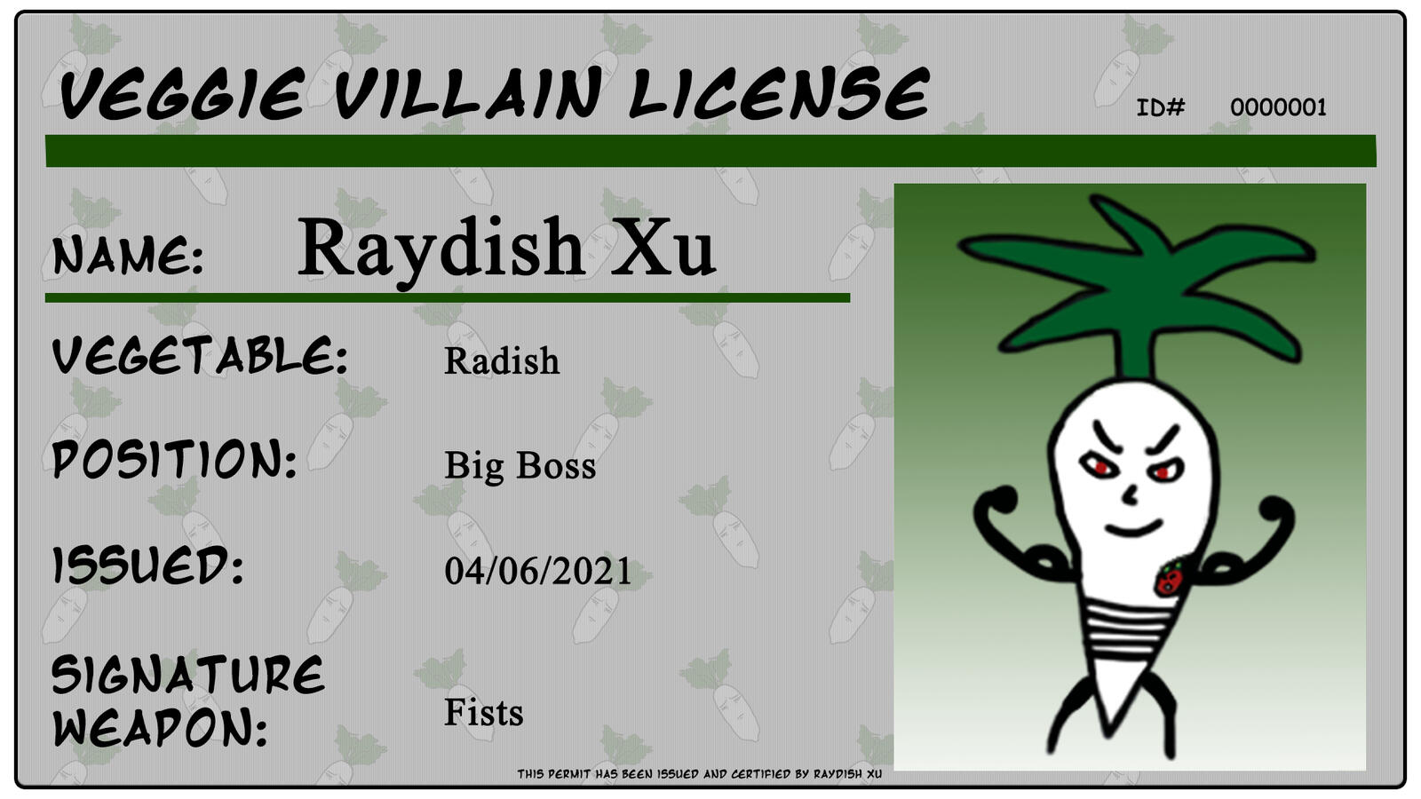 Villain License - Raydish Xu